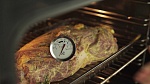 ELECTROLUX MEAT THERMOMETR